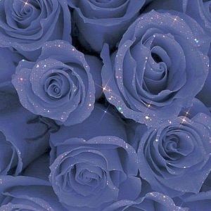 Meet your Posher, Amaya